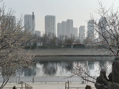 -桃花堤公园
