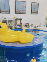 -雏芽婴幼儿游泳·小美医生小儿推拿(西村店)