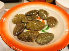 -鲜入围煮花胶鸡海鲜火锅