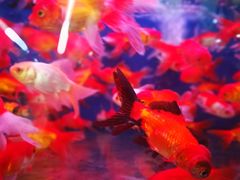 -大润发(王庄店)