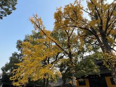 -西园戒幢律寺