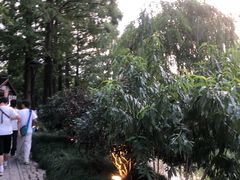 -西湖天地