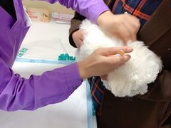 -瑞派宠物医院·24h·骨外科·皮肤科·全科宠物医疗转诊中心(沈阳浑南院)