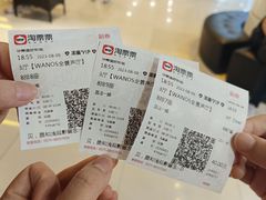 -华美国际影城(旧宫永辉店)