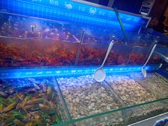 -星伦多自助料理(爱琴海店)
