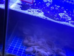 水产区-捞围鲜·港式打边炉(海阳路店)