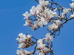 -西湖文化广场