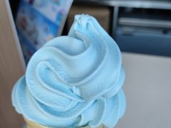 海盐椰子风味圆筒-麦当劳(展览路店)