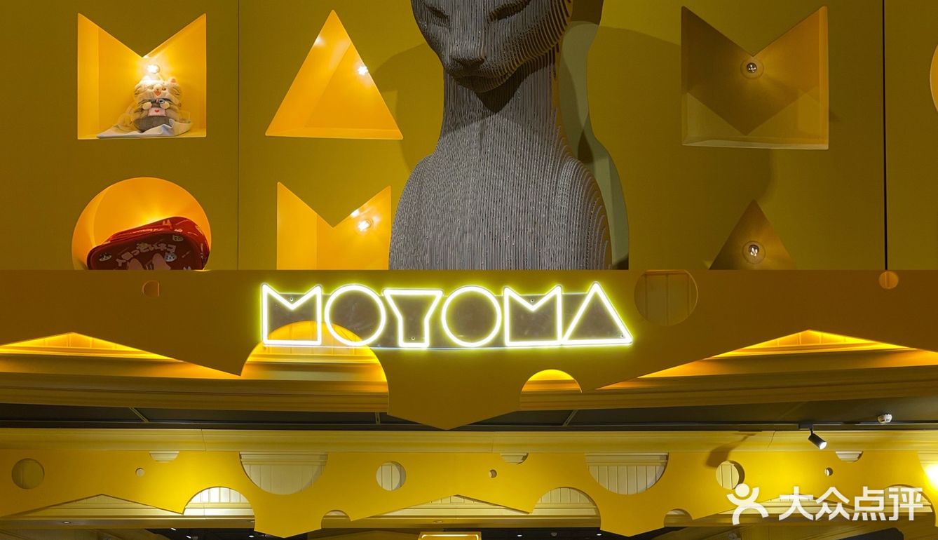 广州撸猫圣地好去处🐈 MOYOMA 摸幺喵来啦‼️