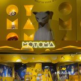 广州撸猫圣地好去处🐈 MOYOMA 摸幺喵来啦‼️