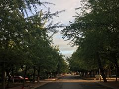 -辽宁大学(崇山校区)