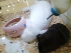 -凯德广场(武胜路店)