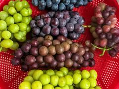 -马陆小张葡萄园农家乐