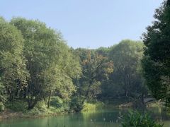 -贡湖湾湿地公园