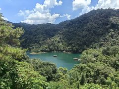 -鼎湖山风景区