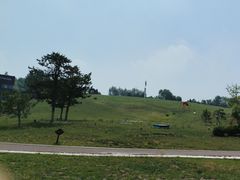 -莫子山公园