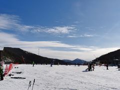 -密苑云顶乐园(云顶滑雪场)