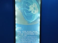 -长春农业博览园
