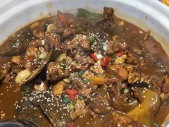 -甲鱼张甲鱼铺子(观沙岭店)
