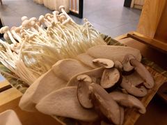 -守柴炉烤鸭(科华中路王府井店)