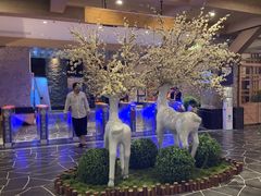 -禾沐家休闲度假生活馆
