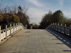 -上海海湾国家森林公园