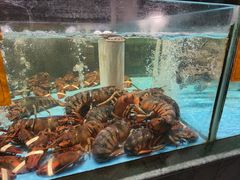 -国惠大酒楼(仓山万达店)
