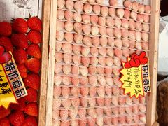 -乐乐鲜果水果超市(河北店)