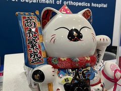 -伟伟宠物医院·CT影像中心·瑞派犬猫综合性门诊(汉口总院)