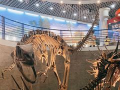 -国家自然博物馆