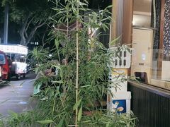 -芳草品味轩(芳草街店)