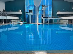 -重庆市奥林匹克体育中心-游泳跳水馆