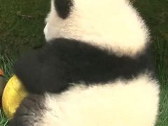 -港门粉第一家