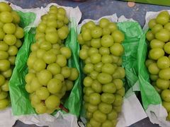 -新塘水果乐园(东洲大道店)