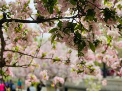 -元大都城垣遗址公园