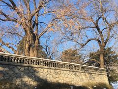 -香山公园