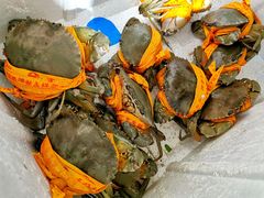 -杨记海鲜楼(三门黑金冠店)