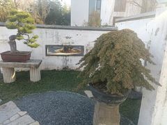 -观唐（国际）度假村温泉