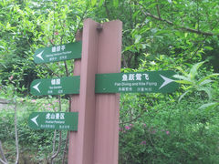 景点-杭州半山国家森林公园