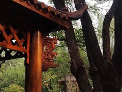 -太阳宫公园