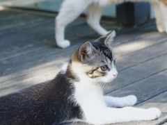 -厦门良筑精品酒店(厦门中山路店)