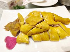 白切胡须鸡-百乐门喜宴(海珠广场华厦店)