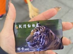 -武汉动物园