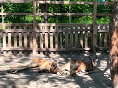 -水上乐园·欢乐世界