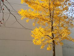 -南京理工大学紫金学院