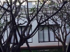 -吴哥国家博物馆