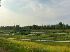 -洨河生态公园