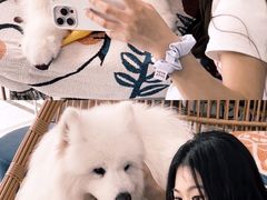 -星多哈·狗咖·拼豆·咖啡