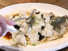鲈鱼-金苑酒家·客家菜·广东老字号(万象店)