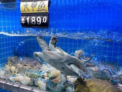 -大鹏饭店·金陵家宴(奥体中心店)